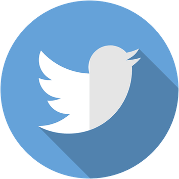 Twitter Bird PNG