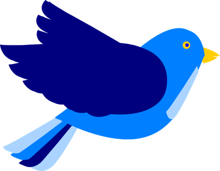 Bird Top View PNG