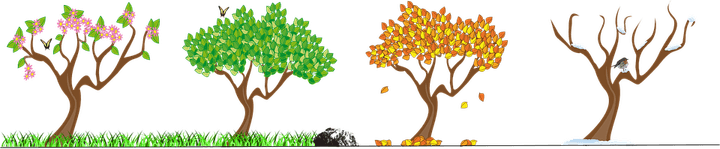 Four Seasons PNG