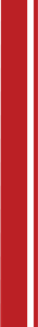 Racing Stripes PNG