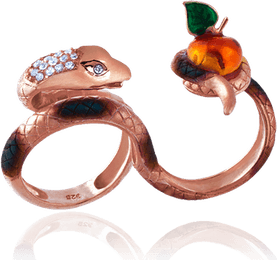 Snake Apple PNG