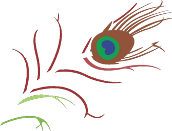 Peacock Feather PNG