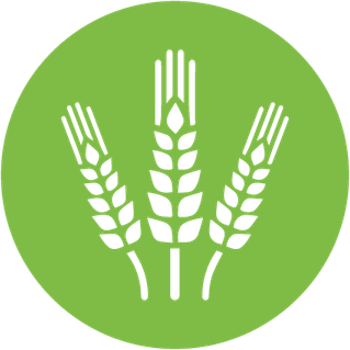 Agriculture PNG