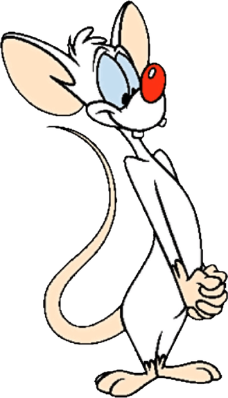 Pinky And The Brain PNG