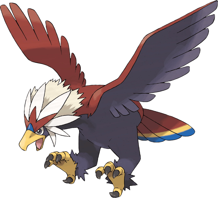 Unfezant Pokemon PNG
