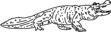 Caiman PNG