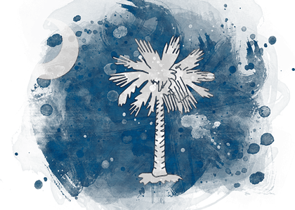 South Carolina State Flag PNG