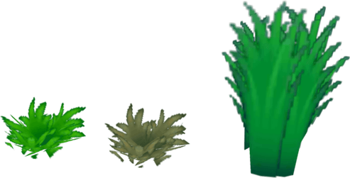 Tall Grass PNG