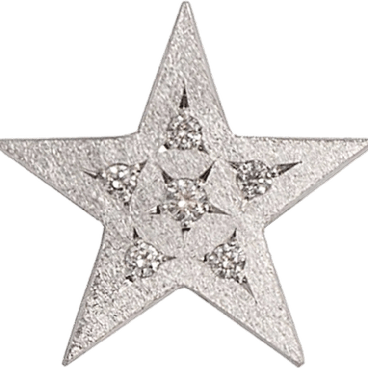 Silver Glitter Star PNG