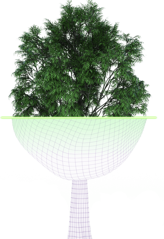 3d Tree PNG