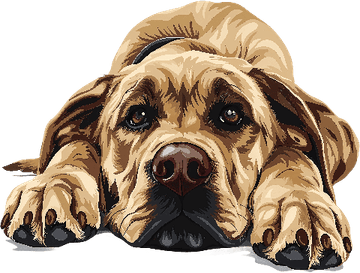 Sad Dog PNG
