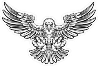 Black And White Bald Eagle PNG