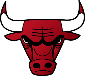 Bulls Logo PNG