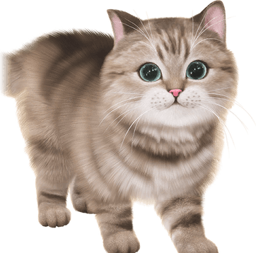 Heavy Breathing Cat PNG