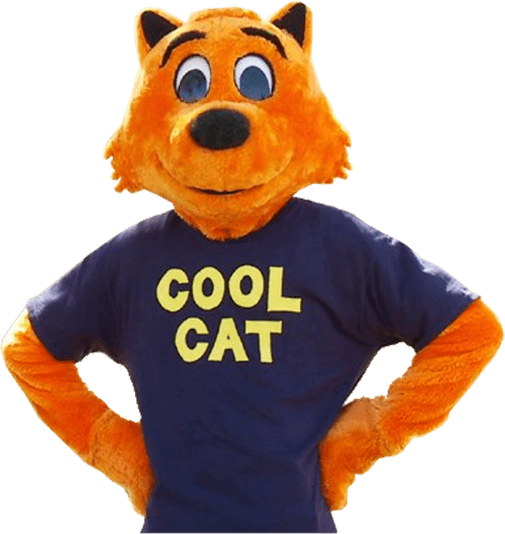 Cool Cat PNG