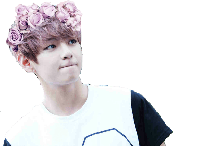 Boa Singer PNG