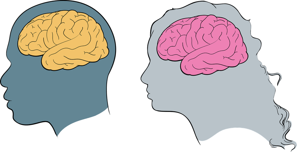 Neuro Brain PNG