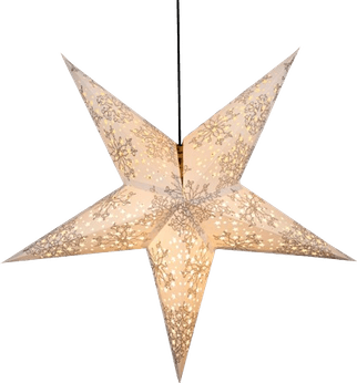 Snow Star PNG