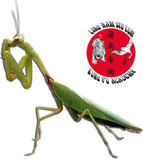 Master Mantis PNG