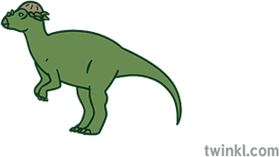 Cartoon Dinosaur Head PNG