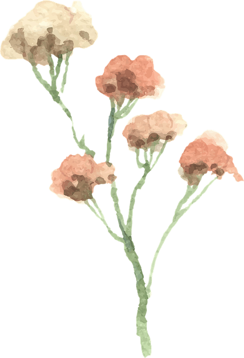 Plant Aesthetic Theme PNG