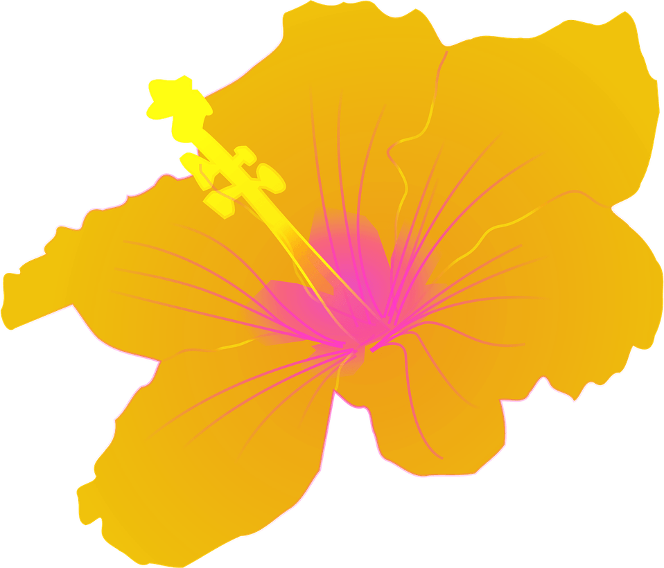 Tropical Flower PNG