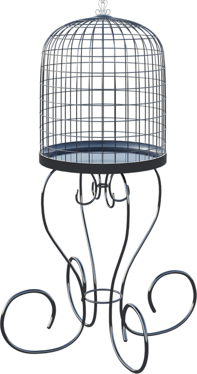 Cage PNG