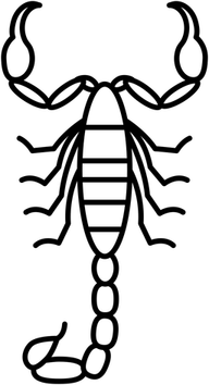 Scorpion PNG