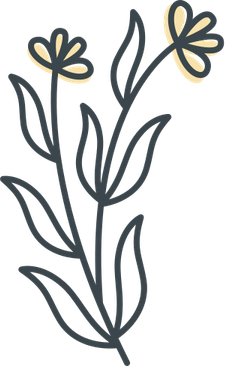 Wild Flower PNG