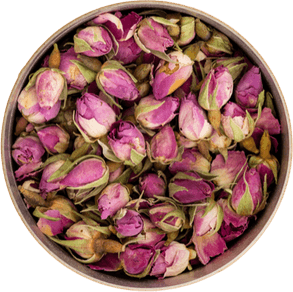 Persian Rose PNG