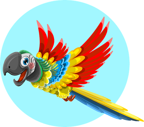 Tropical Bird PNG