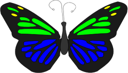 Butterfly Animation PNG