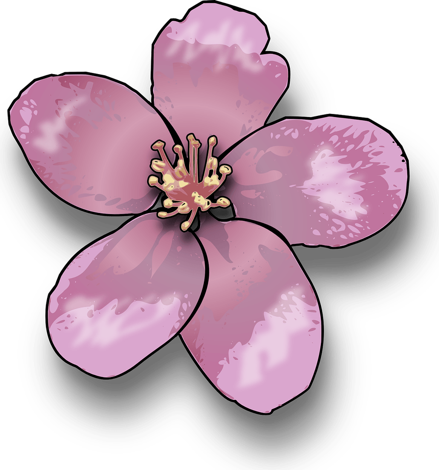 Apple Flower PNG
