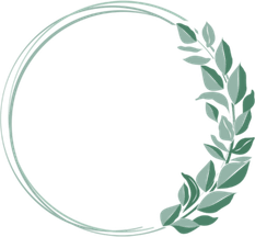 Circle Outline PNG