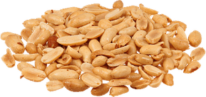 Peanut PNG