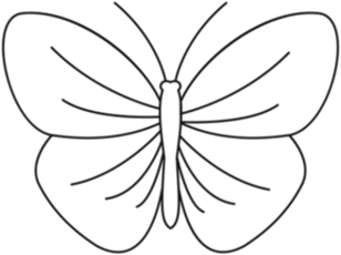 Butterfly Outline PNG