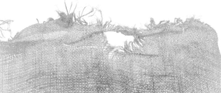 Fabric PNG