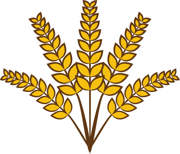Wheat PNG