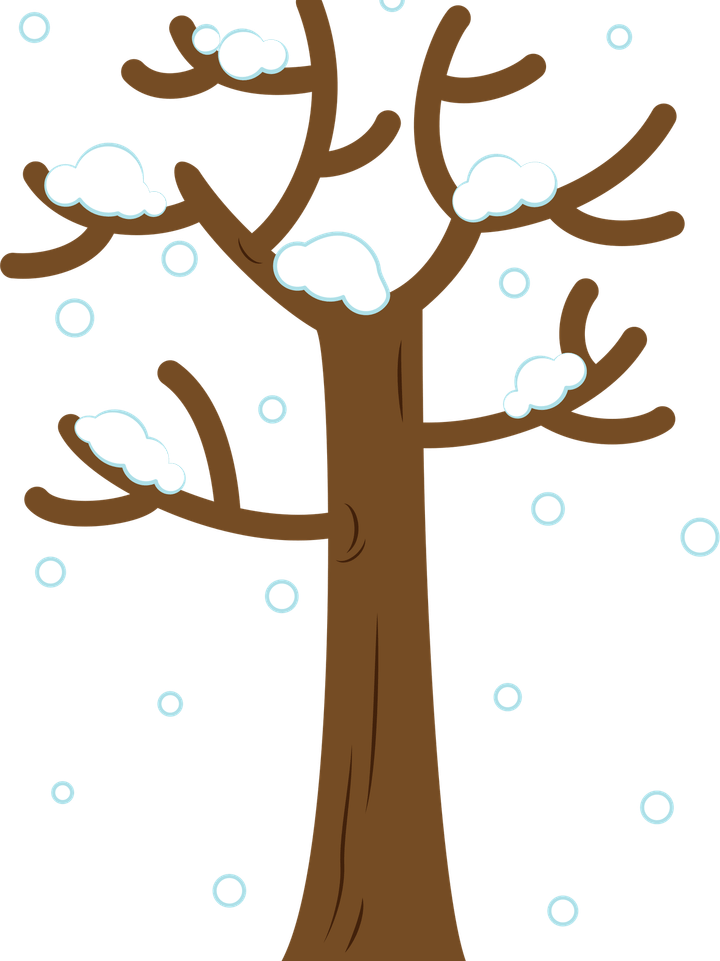 Winter Tree PNG