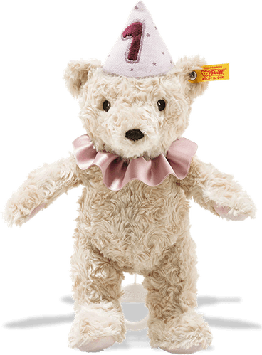 1st Birthday Hat PNG