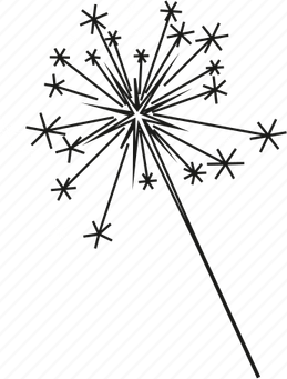Christmas Fireworks PNG