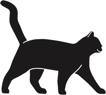 Cat Walking PNG