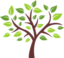Nature PNG