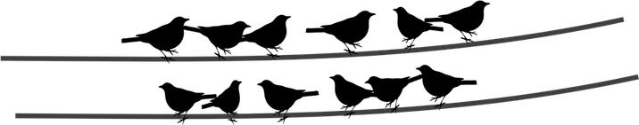 Ocean Birds PNG
