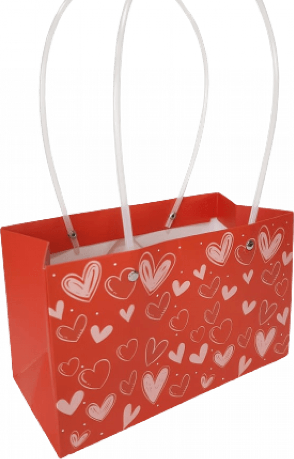 Paper Bag PNG