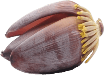 Raw Banana Flower PNG