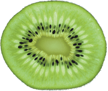 Kiwi PNG