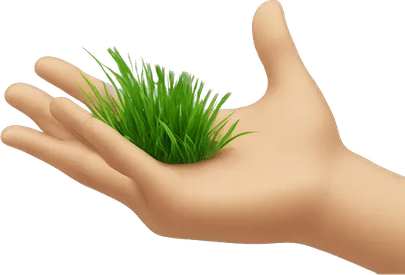 Touching Grass PNG