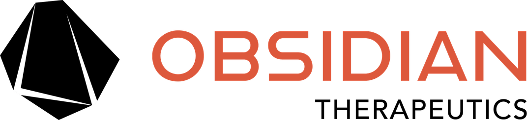 Obsidian PNG
