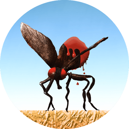 Lord Of The Flies Book PNG